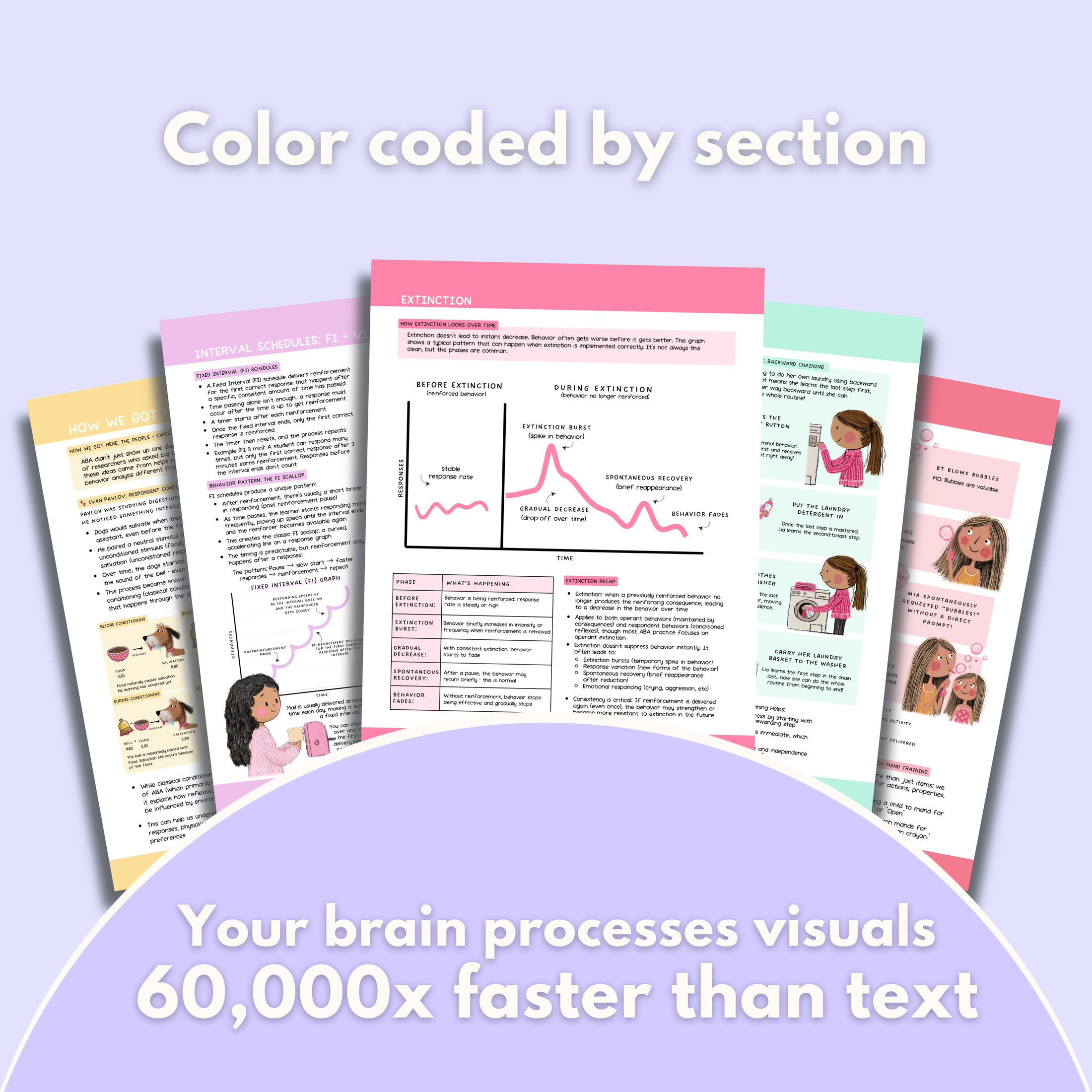 ABA Essentials: Visual Study Manual – 2nd Edition (Paperback)